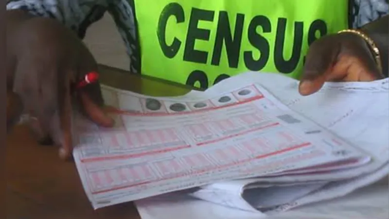 NPC Reveals Plans To Conduct Census In 2025