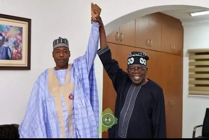 Tinubu Wants To Destroy The North Through His Tax Reforms – Gov Zulum